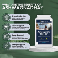 NutriQuarter Ashwagandha KSM-66® 500mg – 90 Vegan Capsules – Full-Spectrum Root Extract