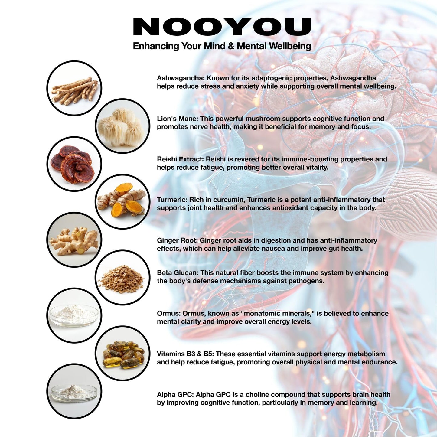 NooYou Nootropic Brain Supplement Mushroom Complex Increased Energy, Focus, Memory Wellbeing Formula Alpha GPC, Lions Mane, Ashwagandha, 60 Capsules