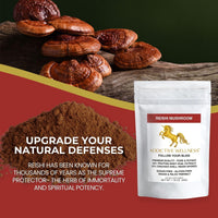 Addictive Wellness Reishi Mushroom Extract Powder + Spores (50/50 Blend) Wood Grown Pure & Potent Wildcrafted Ganoderma (100 Grams)