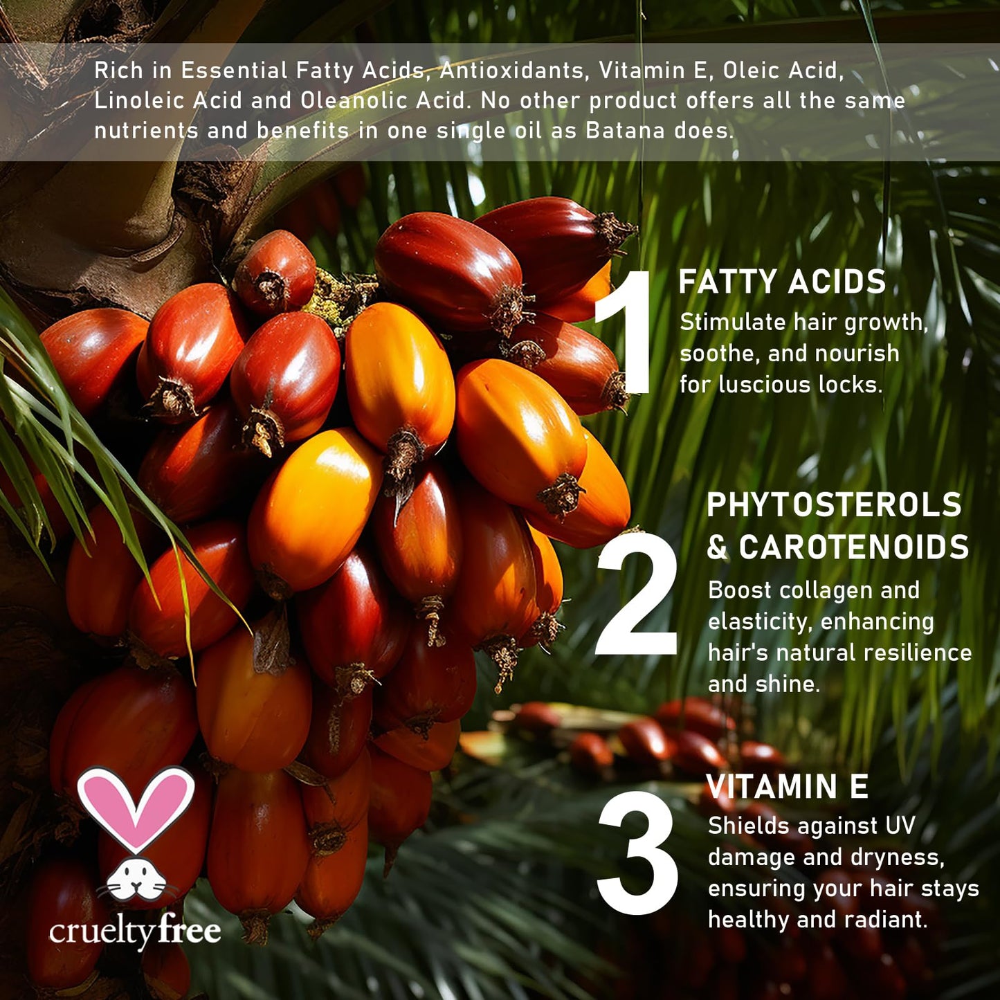 OBNOSWLPJMN Batana Oil for Hair Growth 60ml,100% Pure & Natural Batana Oil for Healthier Thicker Fuller Hair,Eliminate Hair Split Ends, Prevents Hair Loss & Breakage & Skin for Men & Women 60ml (60ml)