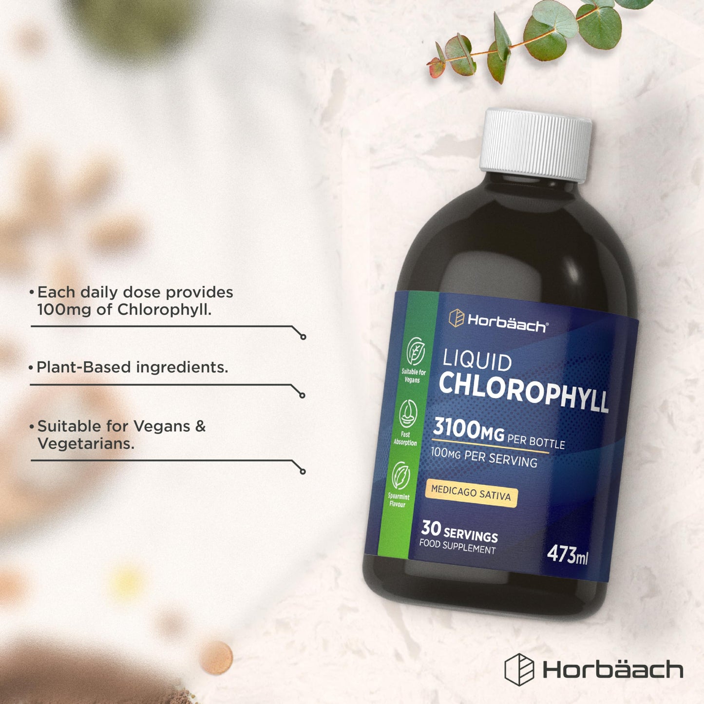 Horbäach Liquid Chlorophyll Drops for Water | 3100mg Per Bottle | 473ml | Vegan Supplement | Mint Flavour | by Horbaach