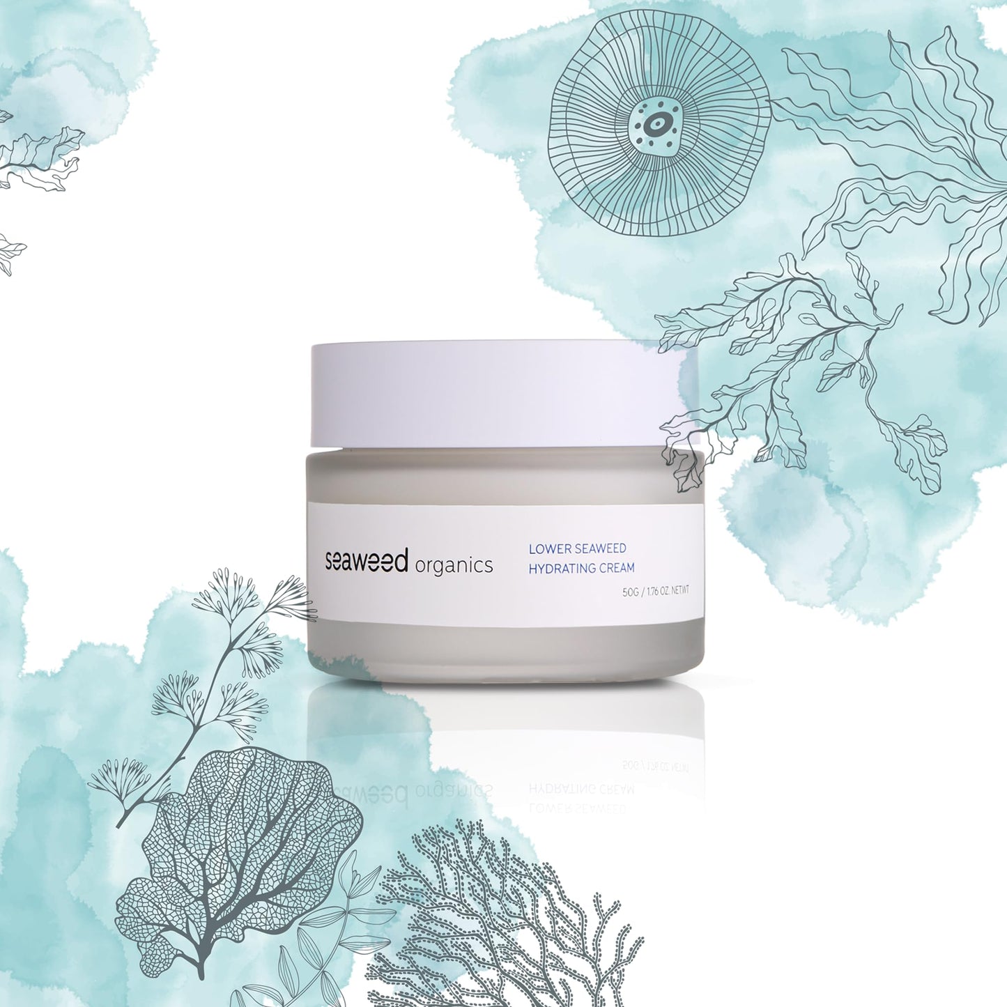 seaweed organics SEAWEED ORGANICS - Lower Seaweed Hydrating Cream, Organic Scottish Kelp, Toothed wrack, Sea spaghetti extract, Day cream, For sensitive Skin, Made in the UK, 60g, DIANA DRUMMOND