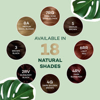 Clairol Natural Instincts Semi-Permanent No Ammonia Hair Dye, 6A Light Ash Brown