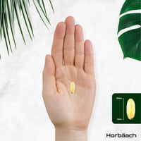 Horbäach Triple Omega 3 6 9 Capsules 3000mg ALA, LA & OA | 240 Softgels | High Strength EPA & DHA Essential Fatty Acids | Supplement with Fish Oil, Flaxseed & Sunflower Oil | by Horbaach