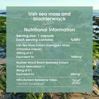 INNOPURE Irish Sea Moss & Bladderwrack - High Strength, Ethically Sourced SeaMoss in a Vegan Capsule - Non GMO, UK Made (60 Capsules)