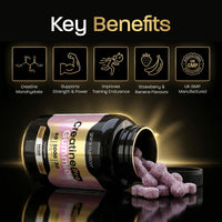 Gains Nutrition GN Creatine Pro Gummies | 90 Chewable Creatine Gummies for Men & Women - 5000mg Creatine Monohydrate Per Serving | Strawberry & Banana Flavour, Non-GMO & Suitable for Vegans & Vegetarians