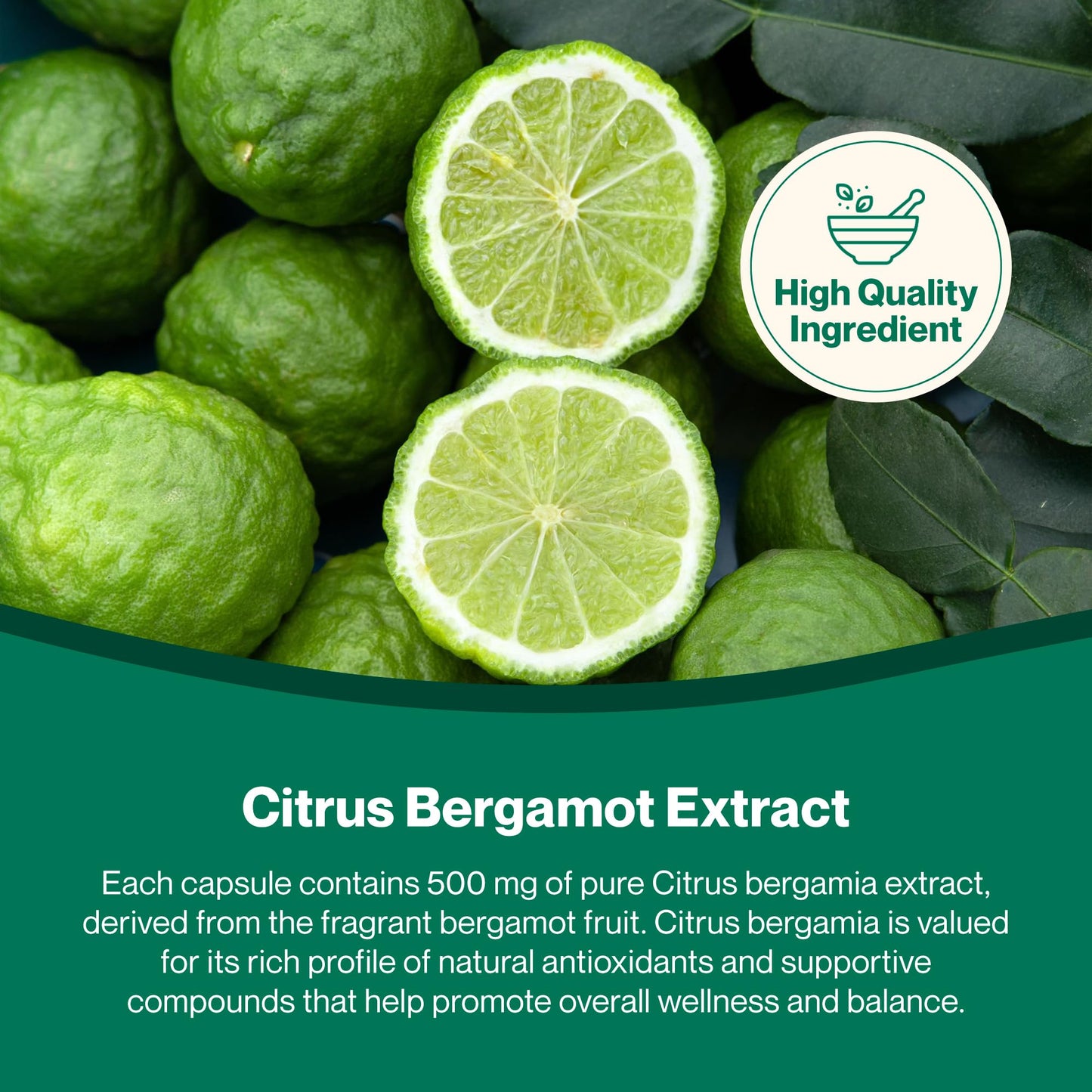 Hepatica Citrus Bergamot (Citrus Bergamia) Extract 500mg | 90 Vegan Capsules | 3-Month Supply | Single Ingredient | 3rd Party Lab Tested