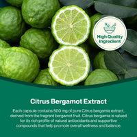 Hepatica Citrus Bergamot (Citrus Bergamia) Extract 500mg | 90 Vegan Capsules | 3-Month Supply | Single Ingredient | 3rd Party Lab Tested