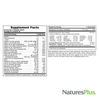 Nature's Plus NaturesPlus Power Teen for Him - Tasty Plant Based Chewable Multi Vitamins and Minerals for Teen Boys - Vegan, Gluten Free - 60 Wild Berry Flavour Tablets