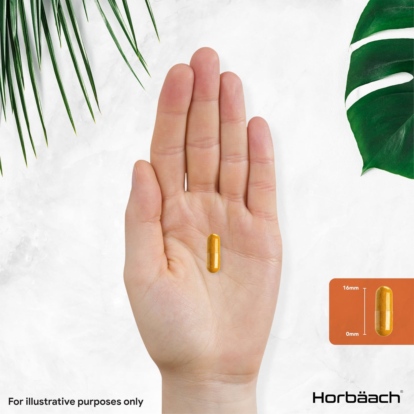 Horbäach Turmeric and Black Pepper Capsules 15,000mg | High Strength 95% Curcuminoids | 90 Vegan Capsules | Turmeric Root Extract Supplement | by Horbaach