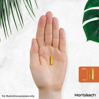 Horbäach Turmeric and Black Pepper Capsules 15,000mg | High Strength 95% Curcuminoids | 90 Vegan Capsules | Turmeric Root Extract Supplement | by Horbaach