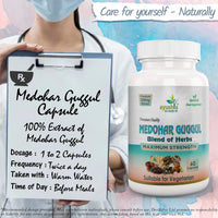 Ayushya Medohar Guggul Capsule, 60 Capsules, Natural