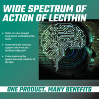 Lecithin 1200mg with Vitamin E - 180 Softgels - High Strength Soy Lecithin Supplement - 6 Months Supply - Laboratory Tested Lipid Lecithin Supplements - by Apollo's Hegemony