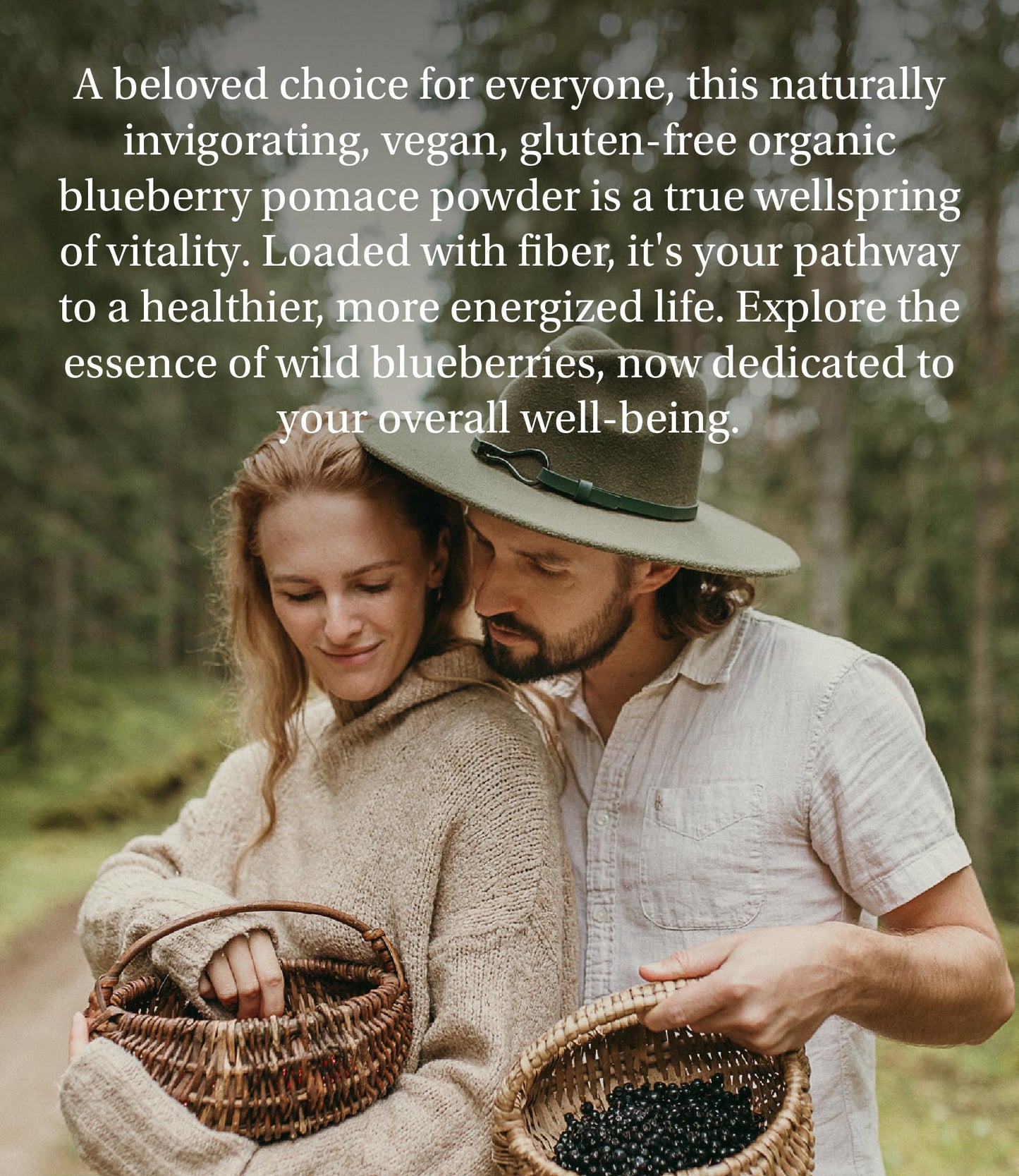 LOOV Wild Blueberry Powder Organic (Pomace Powder), Wild-Crafted from Nordic Forests, Made of Wild Bilberry Skins and Seeds Only, no Added Sugar, High in Fiber, 100 g