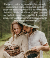 LOOV Wild Blueberry Powder Organic (Pomace Powder), Wild-Crafted from Nordic Forests, Made of Wild Bilberry Skins and Seeds Only, no Added Sugar, High in Fiber, 100 g