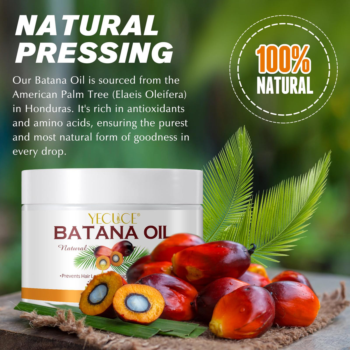 Uruses Batana Oil, for Dry Skin and Dry Hair, Miracle Oil from Honduras for Hair Growth and Moisturizes Skin, Reduce HairLoss and Split Ends, Enhance HairStrength, for Men & Women - 4.2 OZ