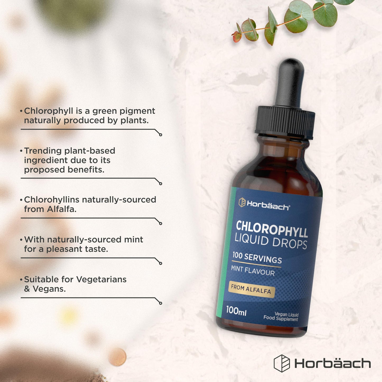 Horbäach Liquid Chlorophyll Drops for Water Extracted from Alfalfa | 100ml - 3+ Months Supply | 100 Servings | Mint Flavour | Vegan Liquid Food Supplement | by Horbaach
