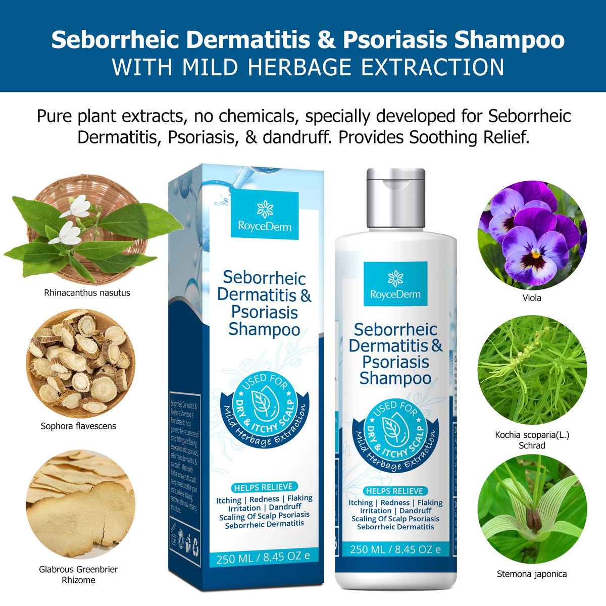 Roycederm Seborrheic Dermatitis Shampoo – Psoriasis, Dandruff & Folliculitis Care – Scalp Treatment for Itch, Flakes & Irritation
