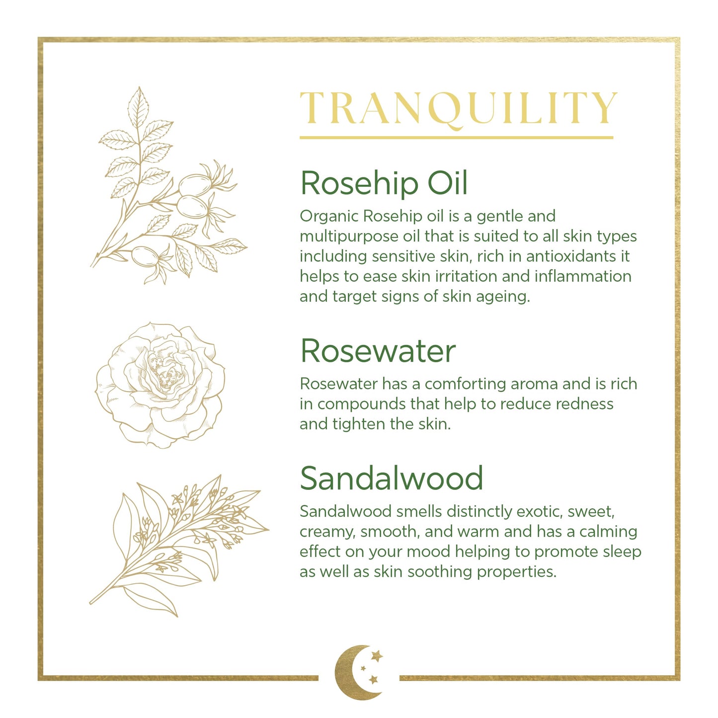 Dr. Organic Dr Organic Evoke Tranquility Overnight Recovery Oil, Hydrating Night Serum, Restore Skin, with Rosehip & Sandalwood, Vegan, Natural, Certified Organic, 30ml