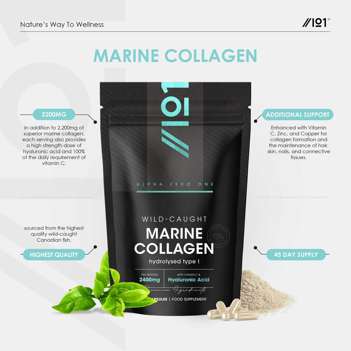 ALPHA01 Marine Collagen Capsules 2400mg - Wild Caught with Hyaluronic Acid & Vitamin C - 180 Capsules (Not Collagen Powder/Collagen Tablets) - Collagen Complex for Skin Joints & Hair for Women & Men