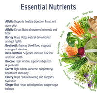 Applied Nutrition Critical Greens Powder and Superfood Blend for Gut Health Energy and Immune Support Vegan Daily Greens Juice Powder (150g - 30 Servings) (Apple Burst)