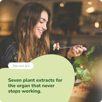 Vegavero Liver Support Supplements | with Artichoke, Chicory & Choline | Natural Cleanse Detox and Repair | NO Additives | 120 Vegan Capsules