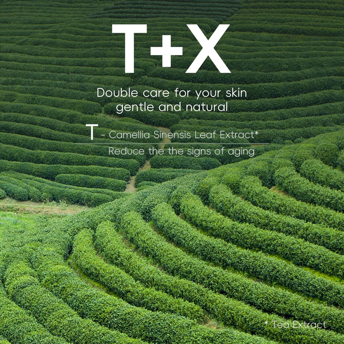 TBeautfave 26PCS Green Tea Skin Care Sets & Kits, Skin Care For Teenage Girls, Skin Care Set For Pamper Gift Sets For Women, Facial Kit, Skincare Set, Cleanser,Toner,Serum,Cream,Mud Mask,Eye Cream,Sleep Mask