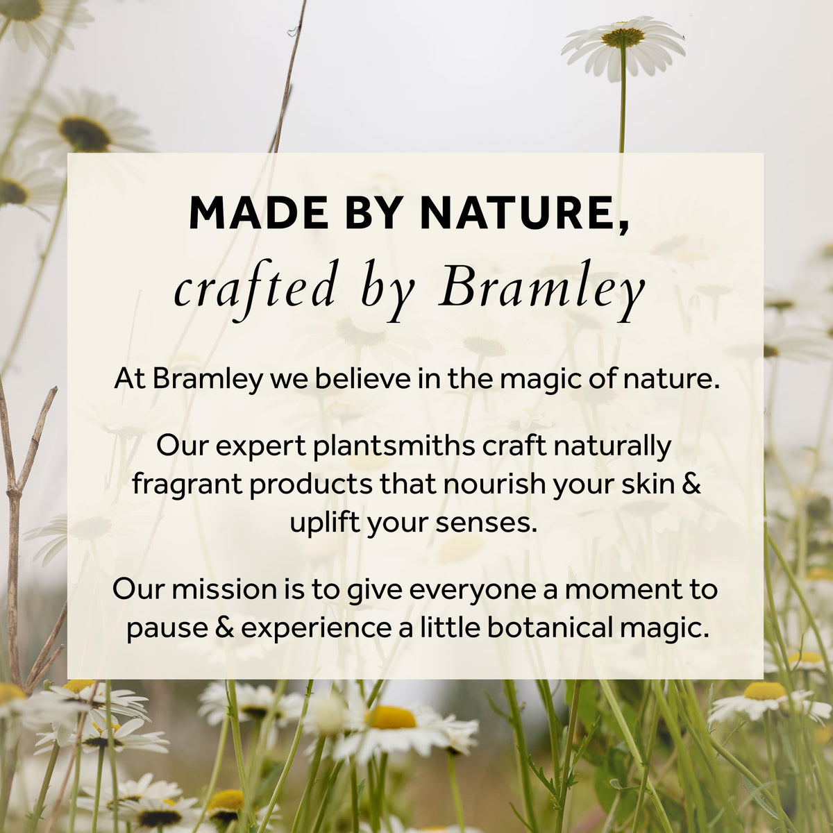 Bramley Products Bramley Lavender Bubble Bath (250ml), Bath Soak with Geranium & Sweet Orange Essential Oils, Vegan Natural Bubbles to Gently Cleanse & Soften