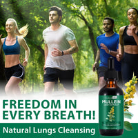 Tamiodfo Mullein Drops, Mullein Leaf Extract Herbal Supplements Drops for Fast Absorption