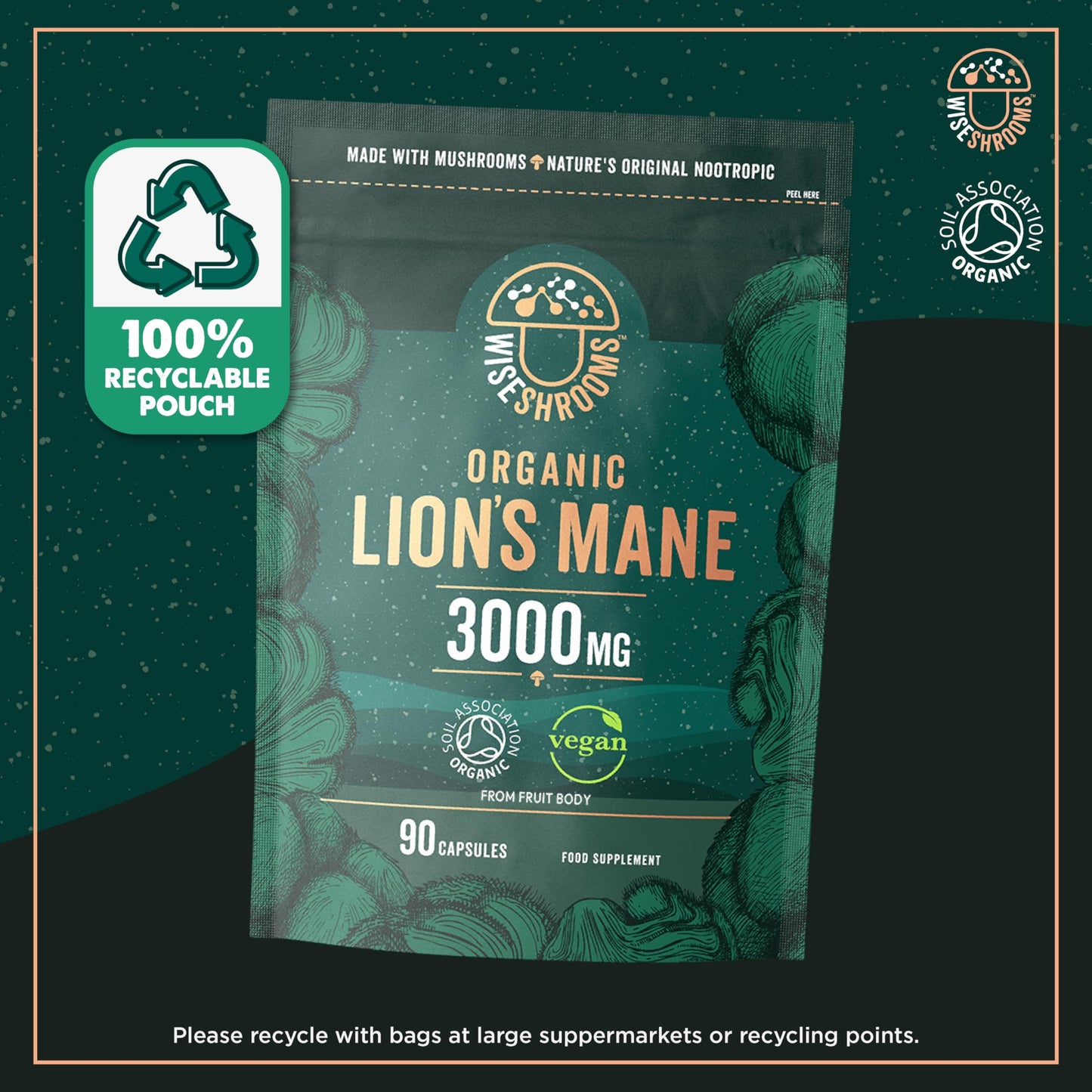 Lions Mane Supplement 3000mg | Organic | High Strength Mushroom Supplement | from Fruit Body | 90 Vegan Capsules | by Wiseshrooms
