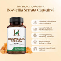 H&C HERBAL INGREDIENTS EXPERT H&C Boswellia Serrata 2500mg Capsules (500mg of 5:1 High Strength Extract) | 65% Standardised Boswellic Acid | 180 Veg. Capsules - 6 Months Supply