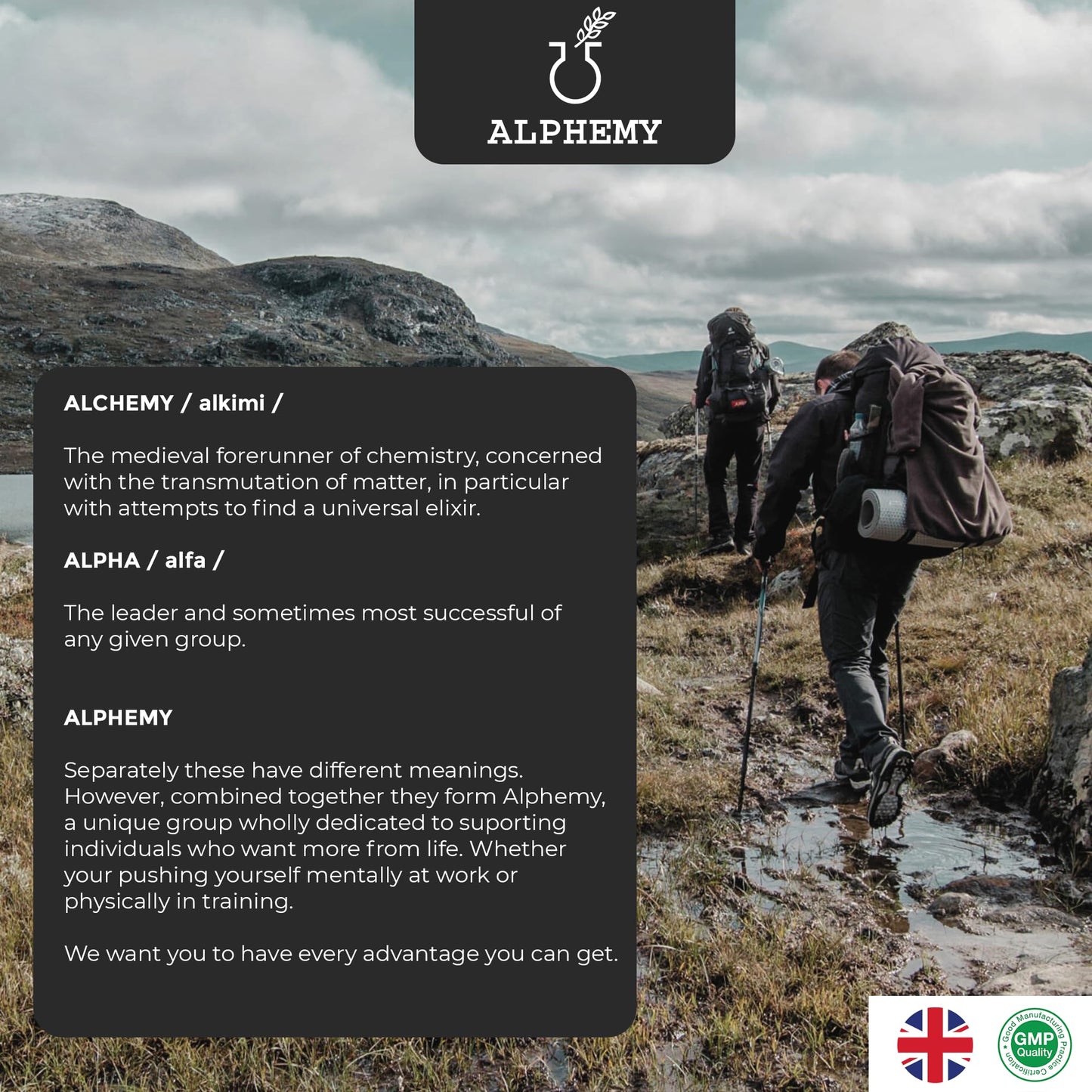 Alphemy Advanced Multivitamin and Minerals - 120 Tablets, (4 Month Supply) 26 A-Z High Strength Bioactive Vitamins and Minerals. Daily Tablets for Men & Women – UK Manufactured