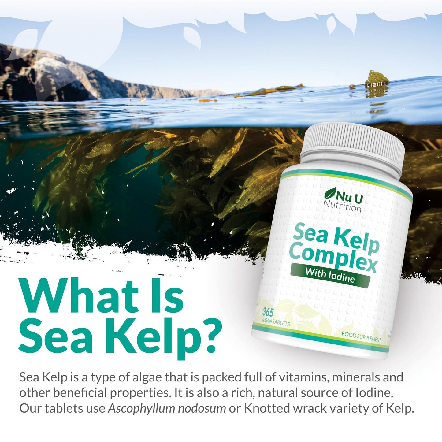 Sea Kelp Iodine Supplement Complex - 365 Vegan Tablets - 435mcg of Iodine per Tablet - 1 Year Supply - Wild Harvested Seaweed - GMO Free - Made in The UK - Nu U Nutrition