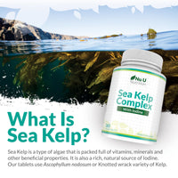 Sea Kelp Iodine Supplement Complex - 365 Vegan Tablets - 435mcg of Iodine per Tablet - 1 Year Supply - Wild Harvested Seaweed - GMO Free - Made in The UK - Nu U Nutrition
