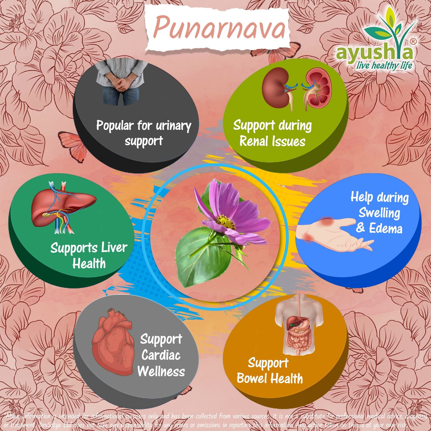 Ayushya Punarnava Capsule (Boerhavia Diffusa), 60 Capsules, Natural