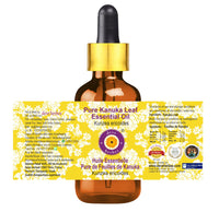 Deve Herbes Pure Kanuka Leaf Essential Oil (Kunzea ericoides) Steam Distilled with Glass Dropper 100ml (3.38 oz)