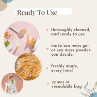 Mecantu® Raw Sea Moss (Irish Sea Moss) - Ethically Sourced & Eco-Friendly | Create Healthy Vegan Food, Drinks, Sea Moss Gel, and Sea Moss Powder | 2+ Months Supply (Refill, 100g)