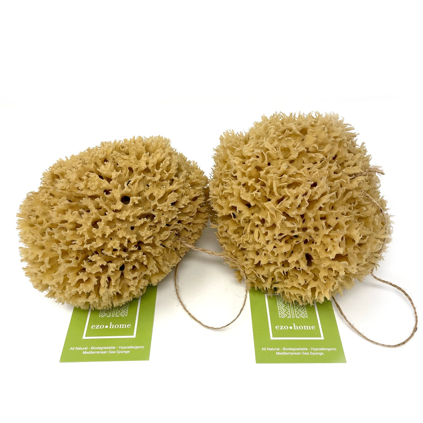 Ezo.Home XXL Sea Sponge Very Large 18-20cm Unbleached Honeycomb Natural Seasponge for Bath Use, for Baby, or Art use (XXL Size Minimum 18cm+) Whole Uncut