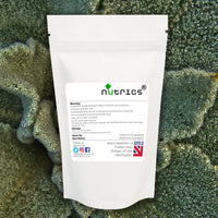 Nutrics® MULLEIN LEAF 250mg x 100% Pure verbascum 90 V Capsules (1 Month Supply) huáng qí Milkvetch g - Suitable for Vegan Vegetarian Halal Kosher