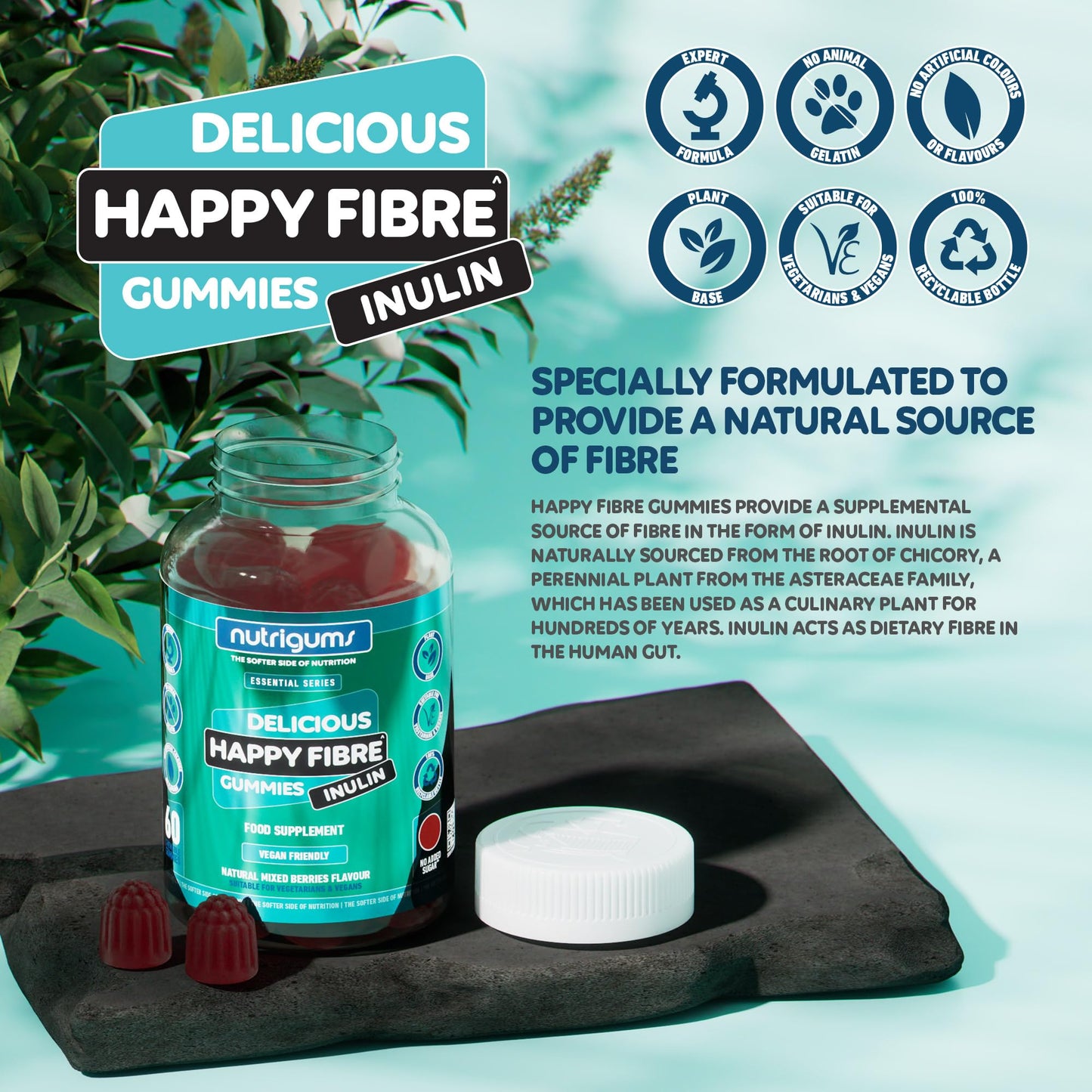 Nutrigums Happy Fibre (Inulin) Chicory Root Prebiotic Gummy | 3.8g Fibre | Mixed Berry Flavour | 60 Vegan Gummies | No Added Sugar | Gut Health and Digestive System Support by NUTRIGUMS®