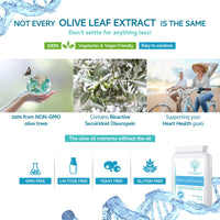 swiss bioenergetics Olive Leaf Extract 6750mg Whole Leaf Equivalent - 60 Capsules - Containing 20% Active Oleuropein