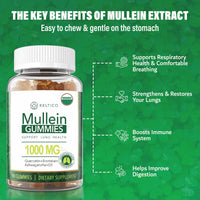 Keltico Mullein Gummies - Mullein Leaf Extract for Lungs - 1000mg Mullein - 200mg Ashwagandha - 400mg Quercetin - Bromelain - Alternative to Mullein Drops,Capsules & Mullein Tea - Mucus Remover & Mucus Relief