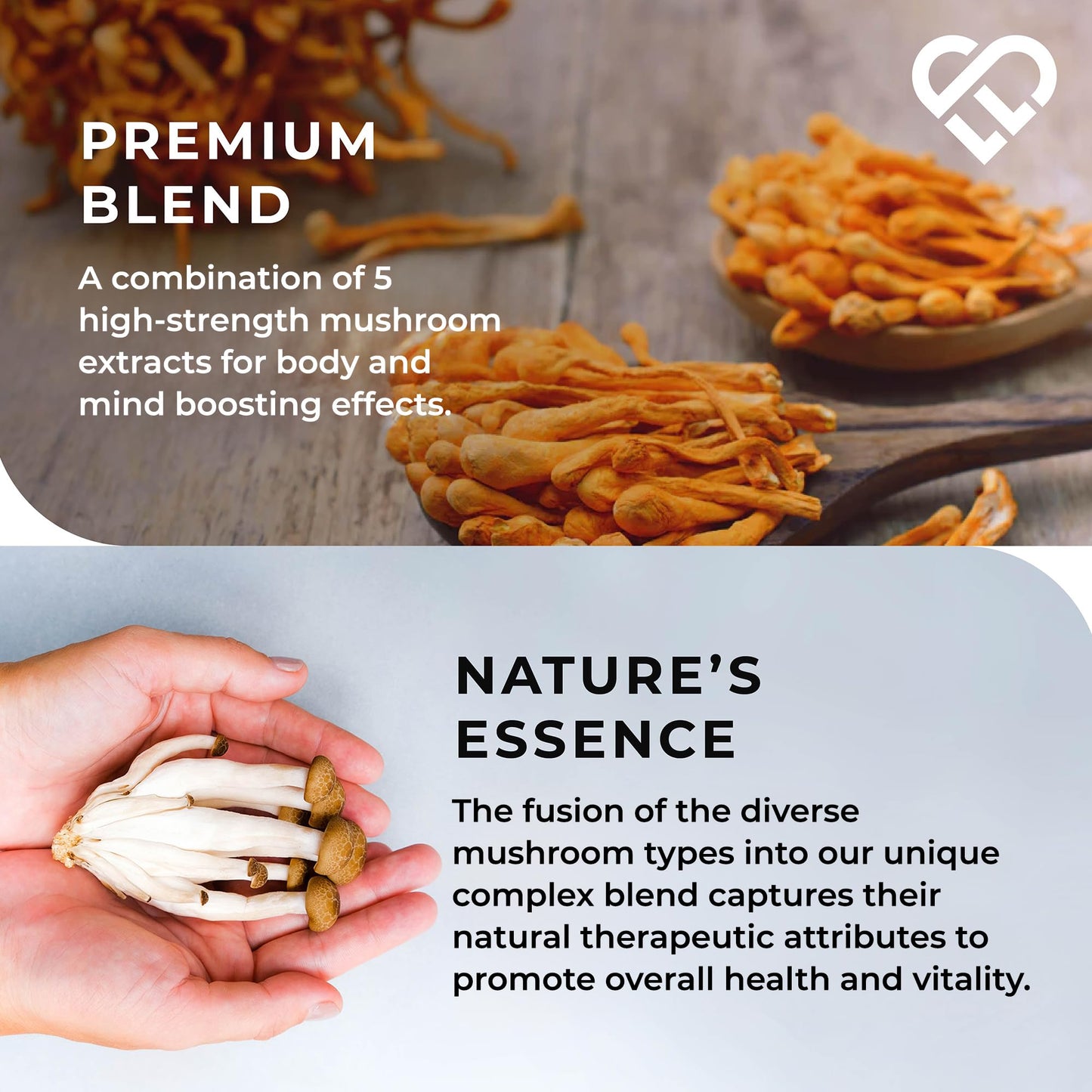 LOVE LIFE SUPPLEMENTS Mushroom Complex by LLS | Contains 1000mg Reishi, Chaga, Cordyceps, Lions Mane and Shiitake Mushrooms | 120 Capsules - 2 Month Supply | No Fillers | Vegan | Love Life Supplements