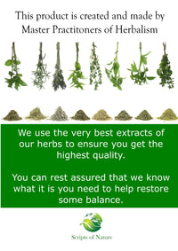 Scripts of Nature Powerful for Anxiety and Low Mood 3 x Adaptogen: Ashwagandha, Rhodiola Rosea & Panax Ginseng