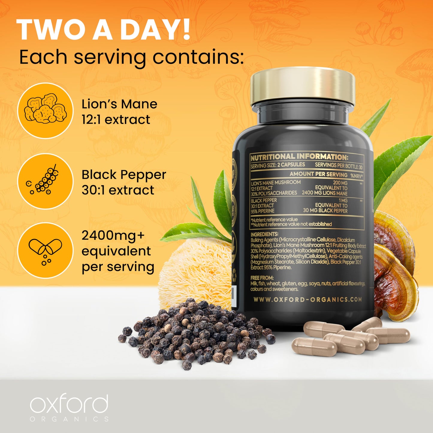 Advanced Lions Mane Mushroom 2400mg - 60 High Strength Vegan Capsules - Lions Mane Supplement with Black Pepper - Lion's Mane Mushroom Supplement (not Lions Mane Powder or Tablets) Made in The UK