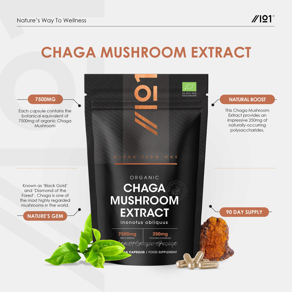 ALPHA01 Organic Chaga Mushroom Capsules 7500mg – 50% Polysaccharides (250mg) - 90 Vegan Capsules (3 Months Supply) Resealable and Recyclable Pouch - By Alpha01