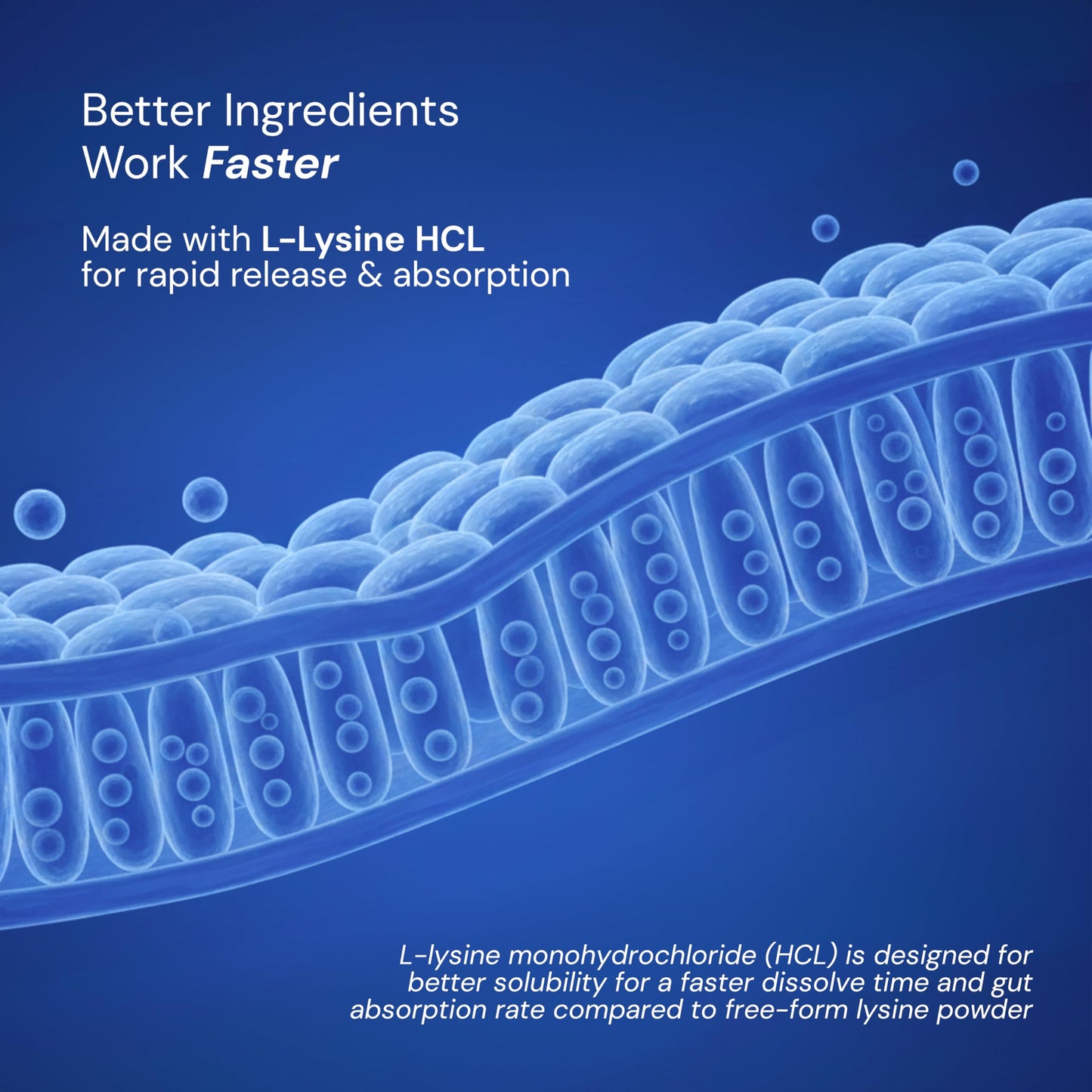 Herstat L-Lysine & Propolis | Advanced Lip Health & Immune Support | High Strength Formula with Quercetin, Vitamin C, Vitamin E & Zinc