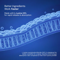 Herstat L-Lysine & Propolis | Advanced Lip Health & Immune Support | High Strength Formula with Quercetin, Vitamin C, Vitamin E & Zinc
