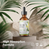 ALPHA01 Mullein Leaf Extract for Lungs 2000mg - 60ml - High Strength Liquid Mullein Leaf - Made in EU - Mullein Leaf Vegan Liquid Drops by Alpha01