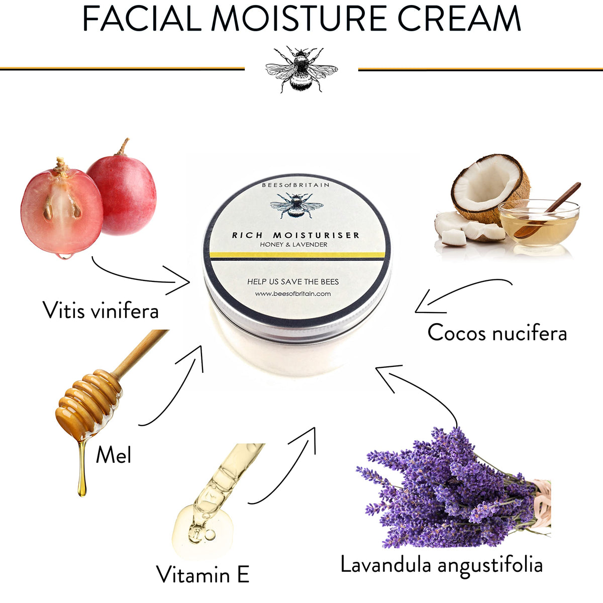 BEES of BRITAIN - Face Cream - 99% Natural. Honey, Lavender. Soothe, Nourish, Hydrate Dry Skin. pH 5.5 for Sensitive Skin. We Donate 5% of our Profit to Save Bees + Pollinators.100g